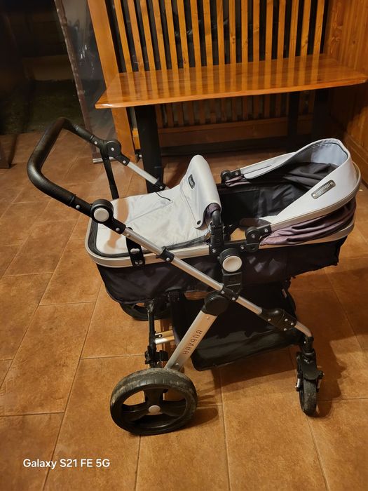 Chipolino havana silver