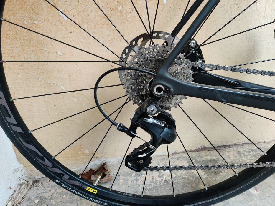 Cursiera Canyon Ultimate CF 2022