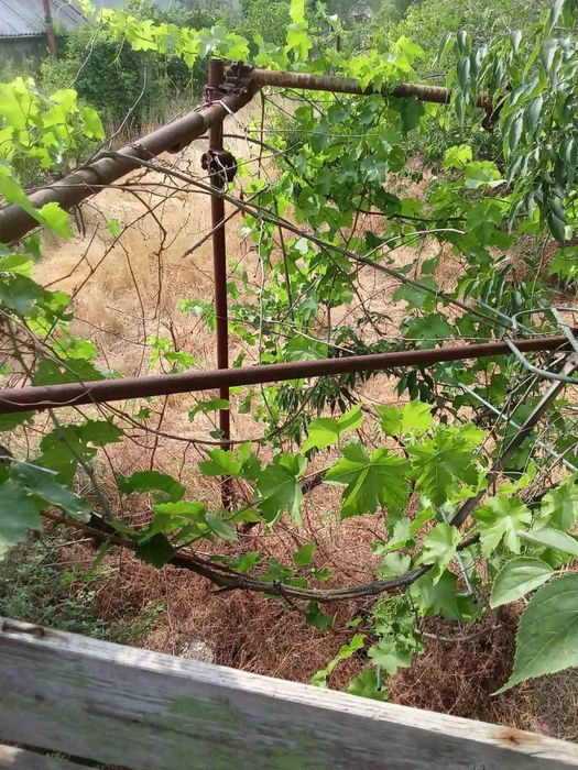 Продава се Къща в Варна, Владислав Варненчик - 30 кв.м за 1000 €/кв.м - Снимка #2