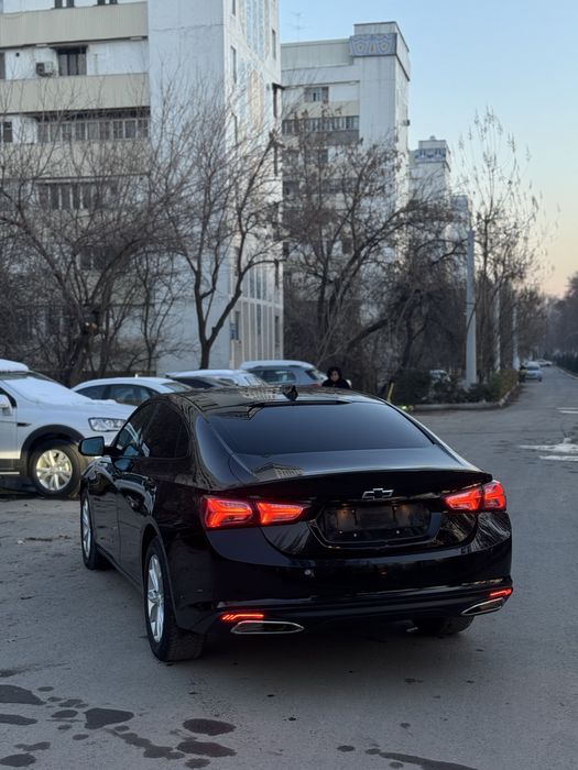 Malibu 2 xl 2023 kraska tozza