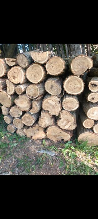 Vând lemne de foc sau schimb