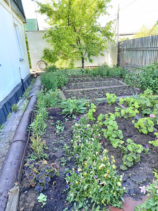 Продаётся дом в Темиртау