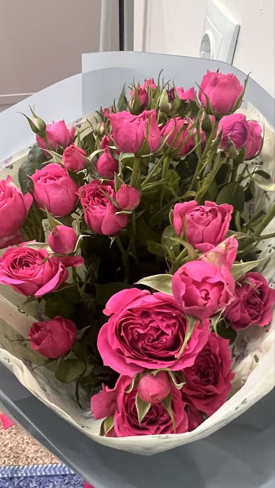 Продам цветы букет