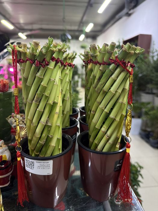 Бамбук в керамике