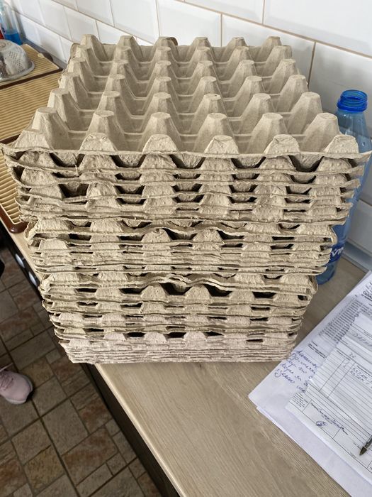 Кори за яйца