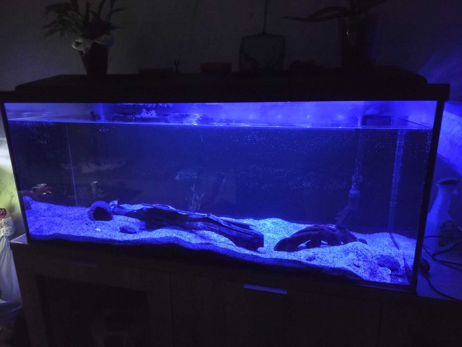 Аквариум 240л. Размер 120/40/50