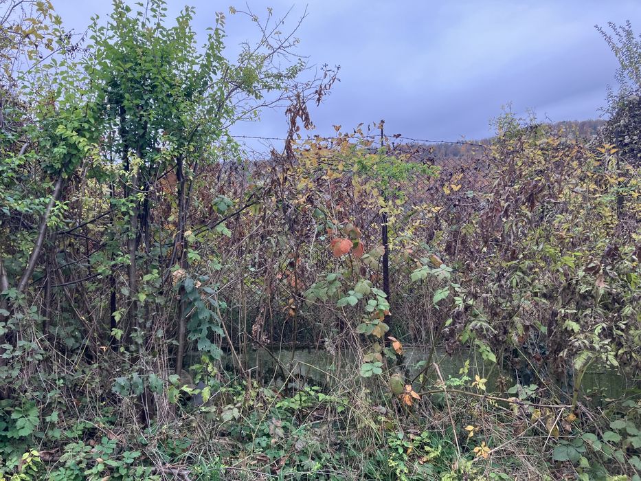 Продава се Парцел в Троян - 738 кв.м за 12 €/кв.м - Снимка #2