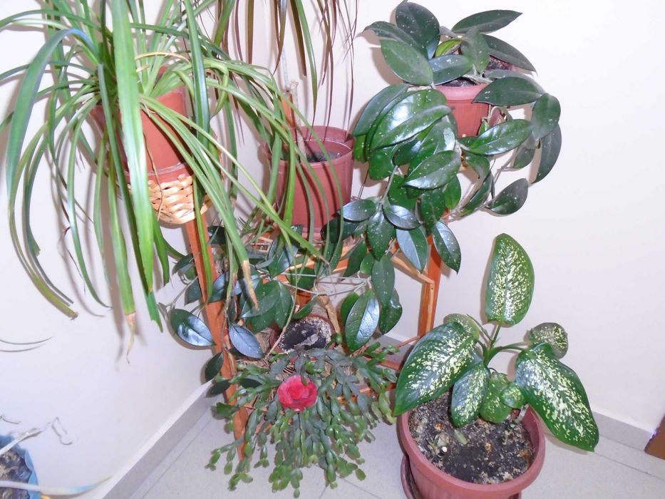 Sony Cyber-shot DSC-W800 20.1МРх