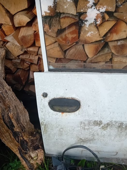Ușa dreapta Dacia Papuc 1304
