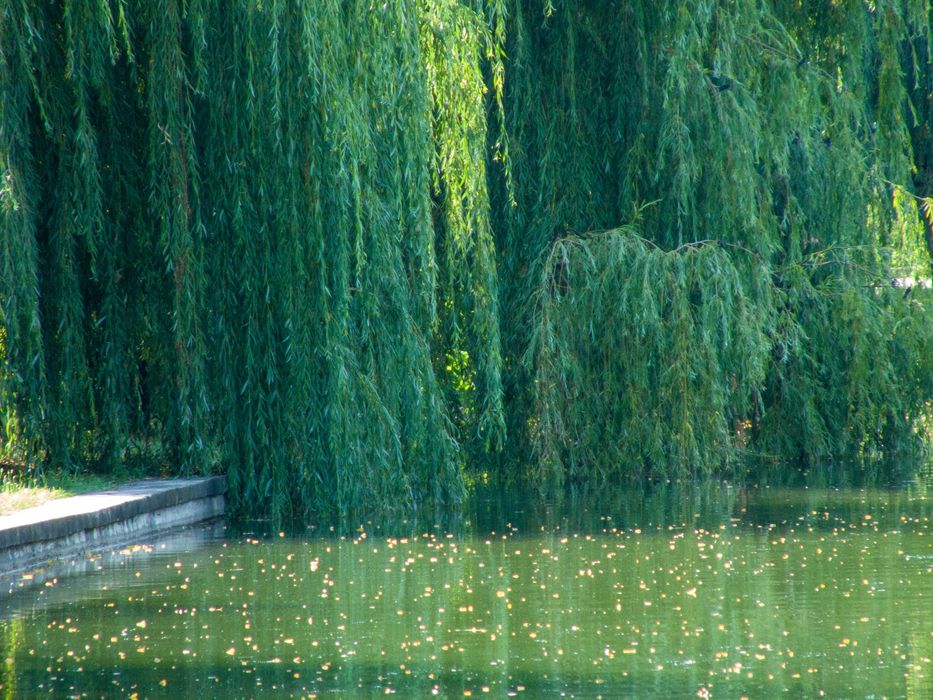 Panasonic Lumix FZ28 - super zoom камера с Leica обектив.