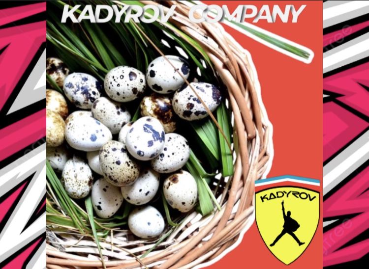 Перепелиные яйца оптом: свежесть и качество на первом месте!