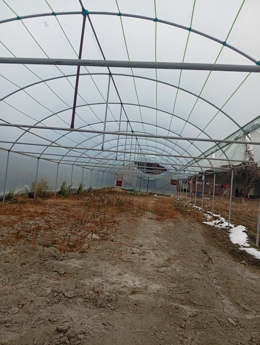 Иссикхона сотилади