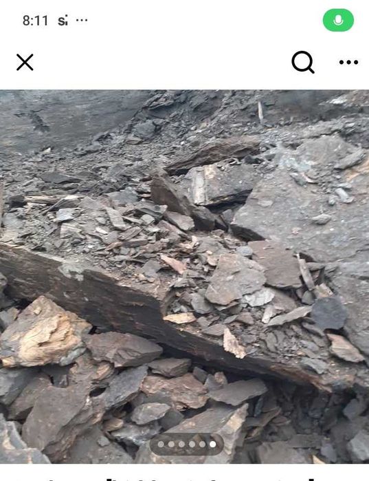 Cărbuni de foc lignit