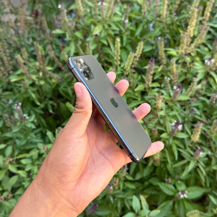 iPhone 11 Pro ideal