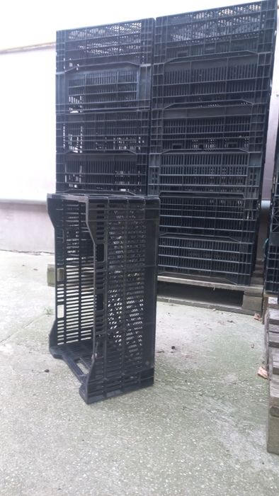 LADĂ plastic 10 lei