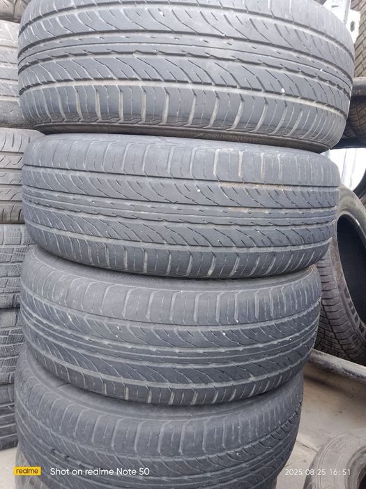 15  Diska. Balon  kobiltga  tayor