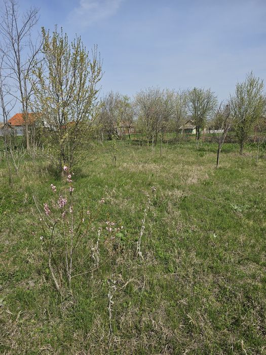 Teren de vanzare  Muntenii-Buzău