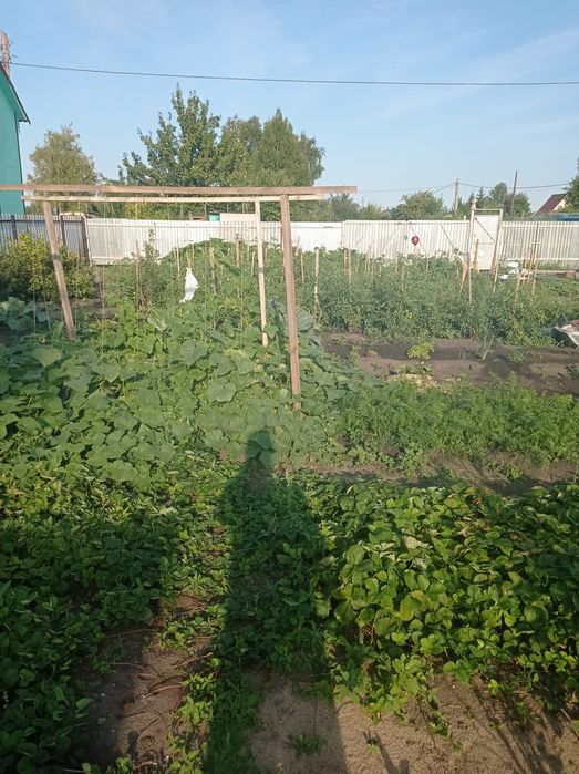 Продам дачу с насажденьями