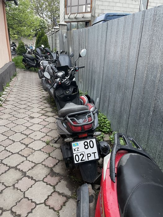 Аренда  мопедаов.