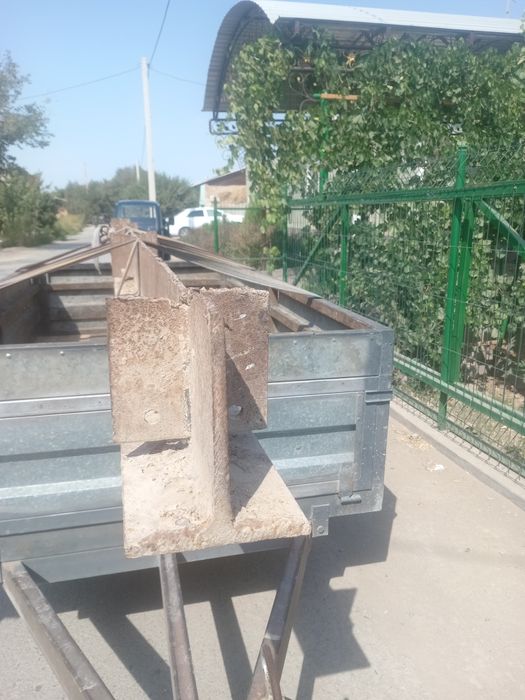 Двухтавр шивиллер