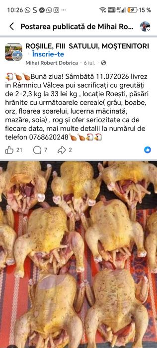 Pui alb de carne și găini albe de carne