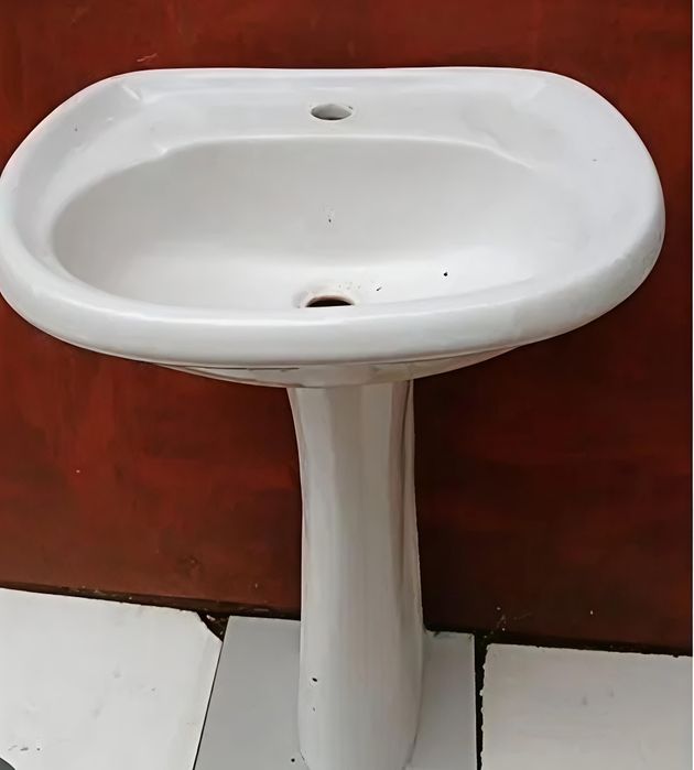 Раковина тюльпан