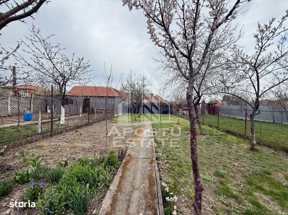 Casa individuala cu 6 camere de vanzare zona Plopi Timisoara