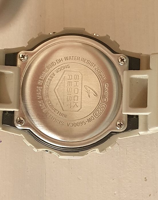 Часы Casio G - Shock DW-5600 CA