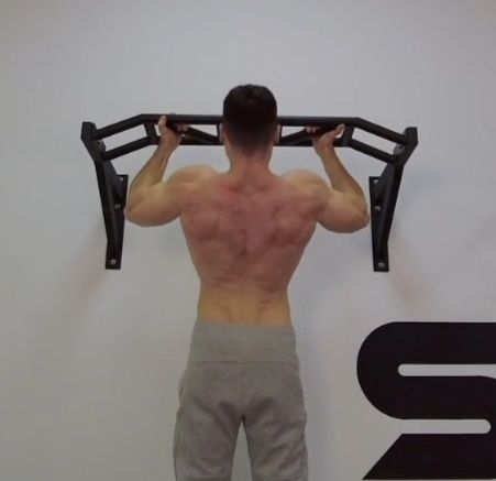 Турник настенный Мултихватом профессиональный