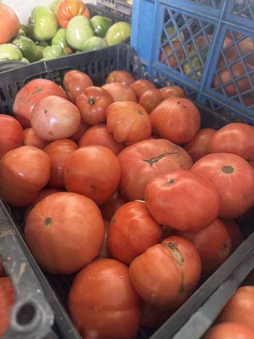 Продам домашние помидоры
