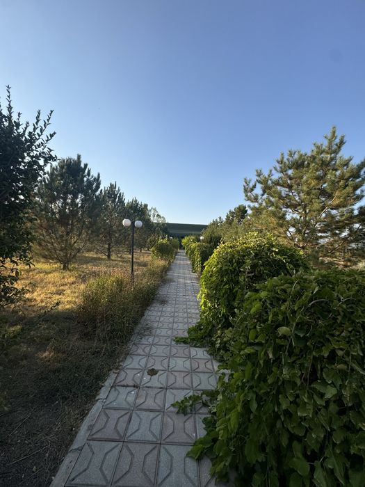 Продается фазенда