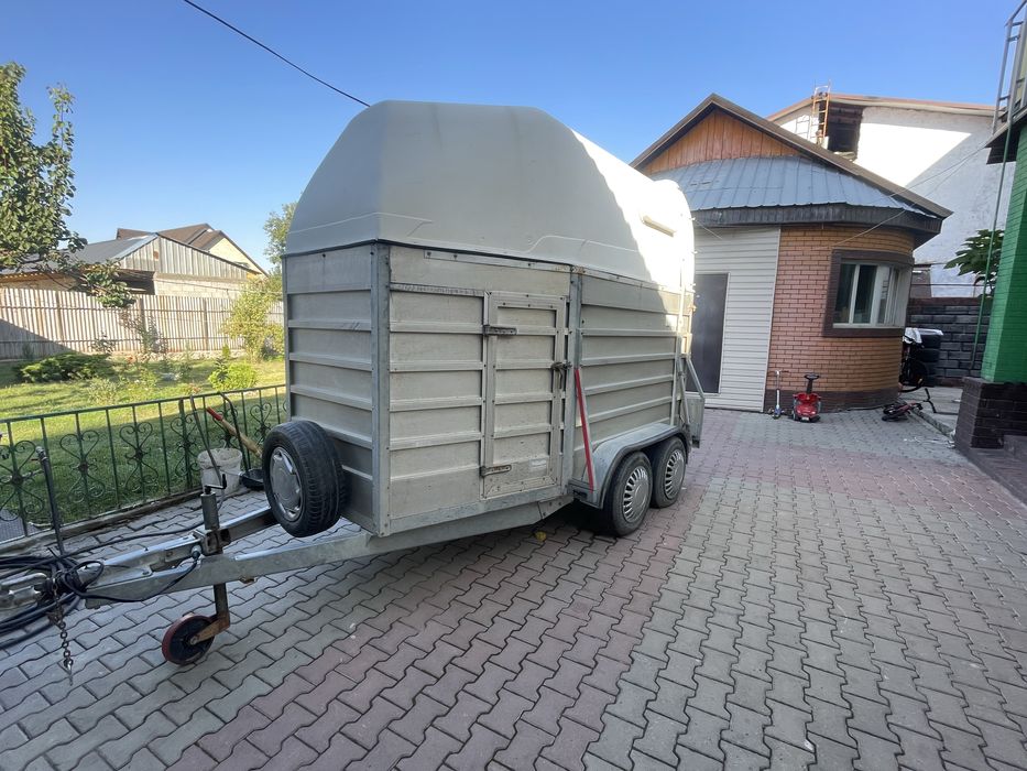 Коневозка перевозка лошадей