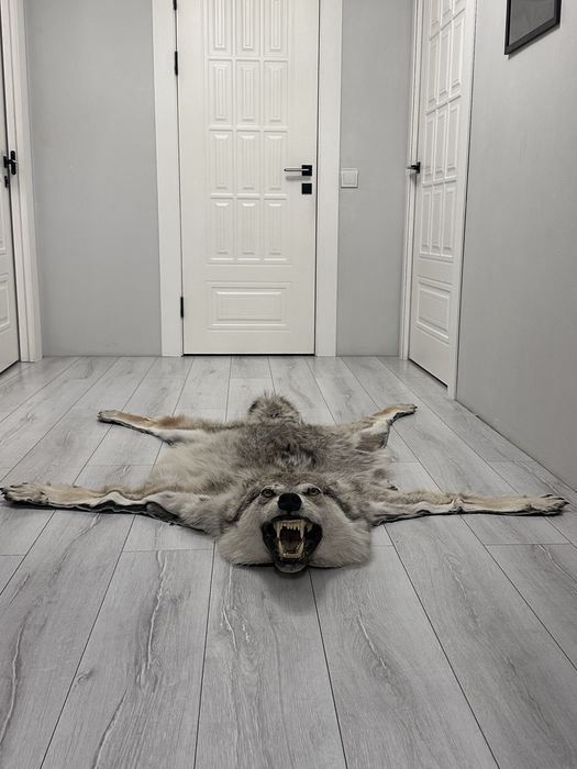 Шерсть волка на пол