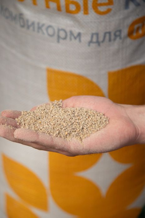 Суточный бройлер  , гусь , утка , несушка !