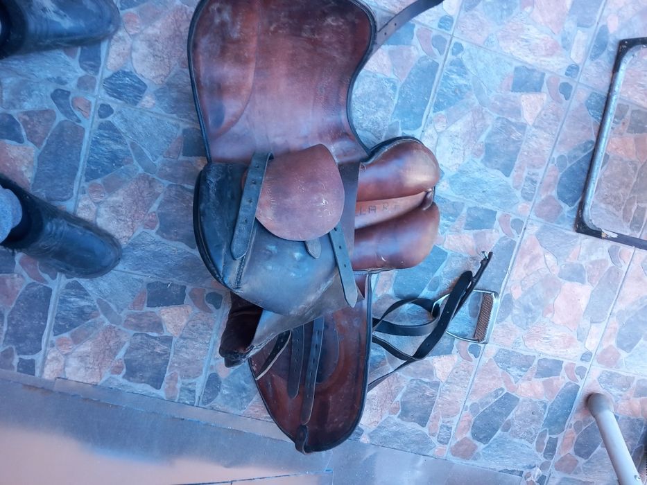 Vând șa călărie, echitație!