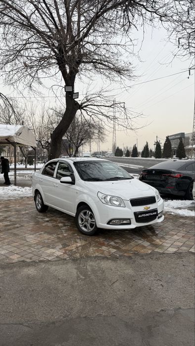 Neksia 2019 kraska bor nu holati zor