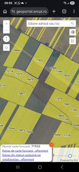 Teren arabil 6,5 ha, com. Vutcani, Vaslui, 6900 euro/ha