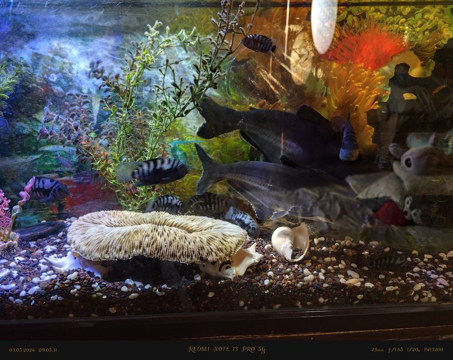 Продам аквариум с рыбками