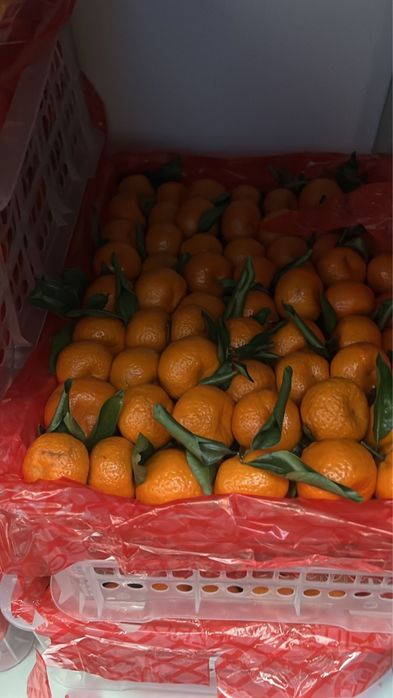 Мандарины, гранаты дешево