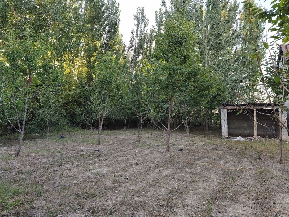 Chek sotiladi 7.8 sotik narx kelishiladi