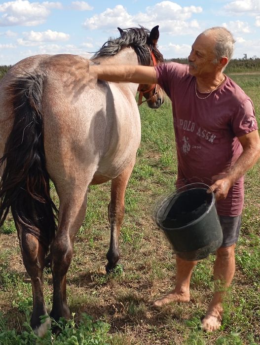 Vând mnza de un an jumate