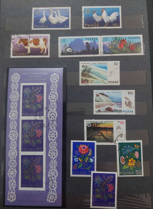 Timbre si colite straine fauna