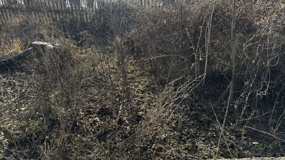 Отдам дачу на правом берегу бесплатно!