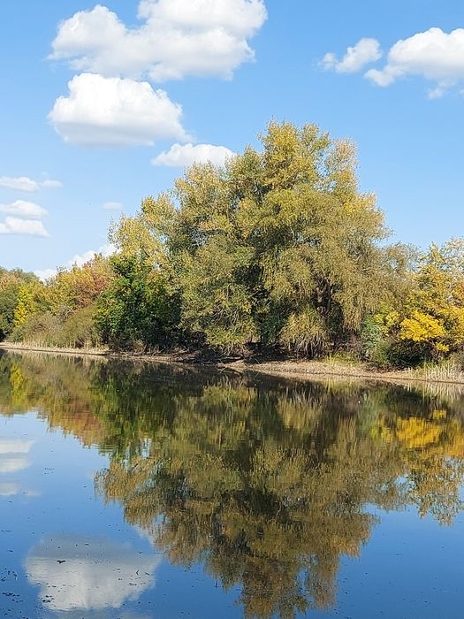 Аренда  земли в ближайшем пригороде