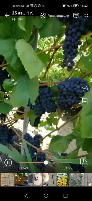 Продам дачу в с/о "Звездочка".