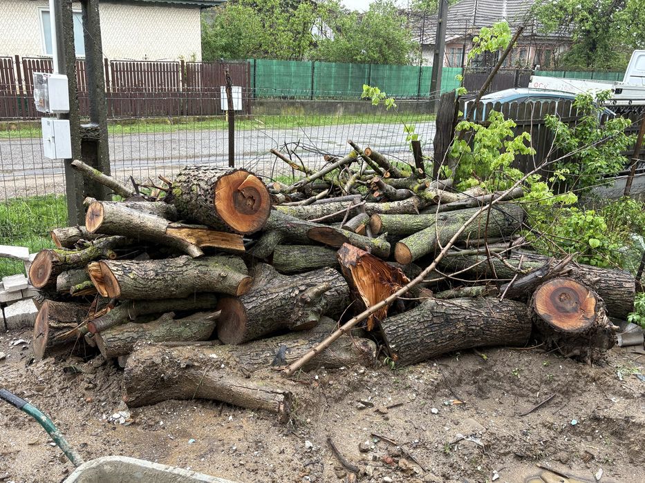 Lemen de nuc la 3m lungime 70 diametru+ ce se vede in poze dau totu