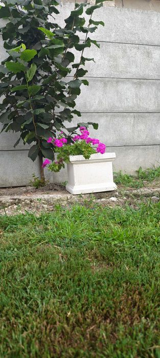 Decorațiuni gradina / curte