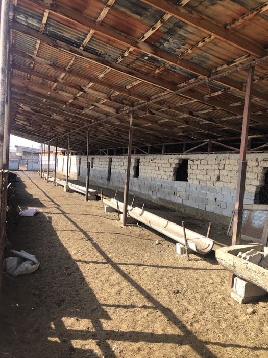 Фазенда Сатылады Откорм Баз