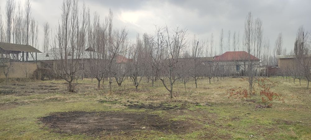 Учаска 15 соттох соттоғи 12.000$ дан