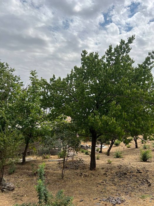 Продаётся земельный участок под дачу и дом !